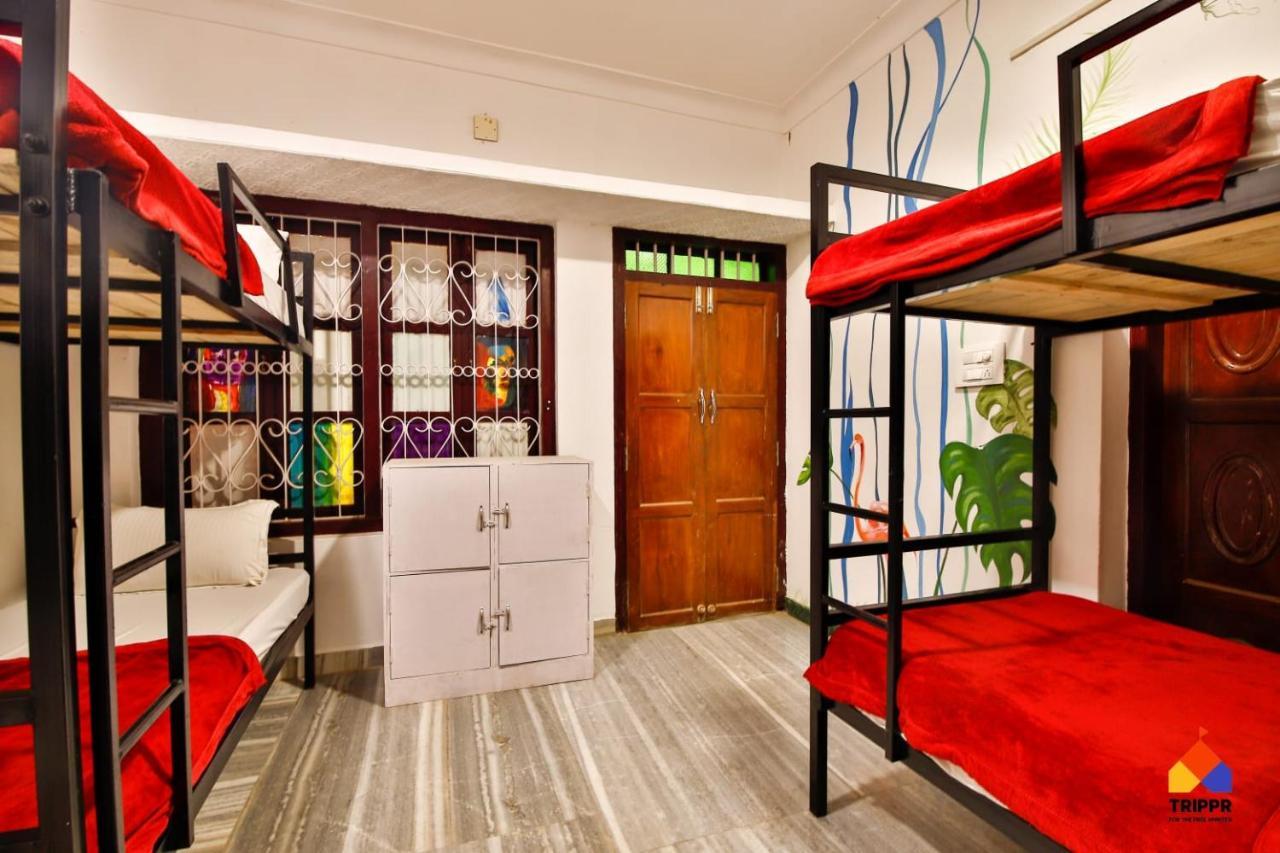 Trippr Alleppey - Backpacker Hostel Alappuzha Dış mekan fotoğraf