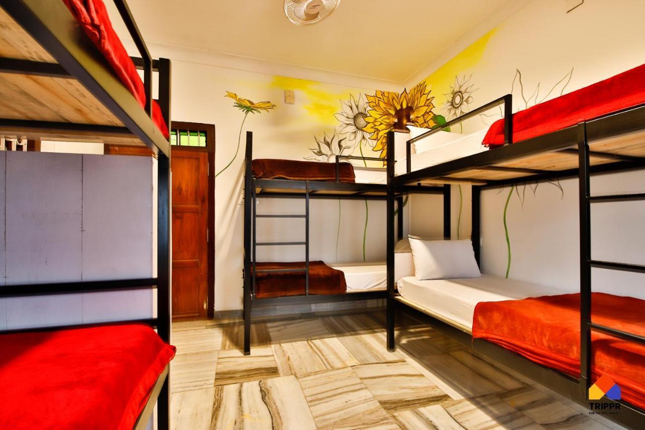 Trippr Alleppey - Backpacker Hostel Alappuzha Dış mekan fotoğraf